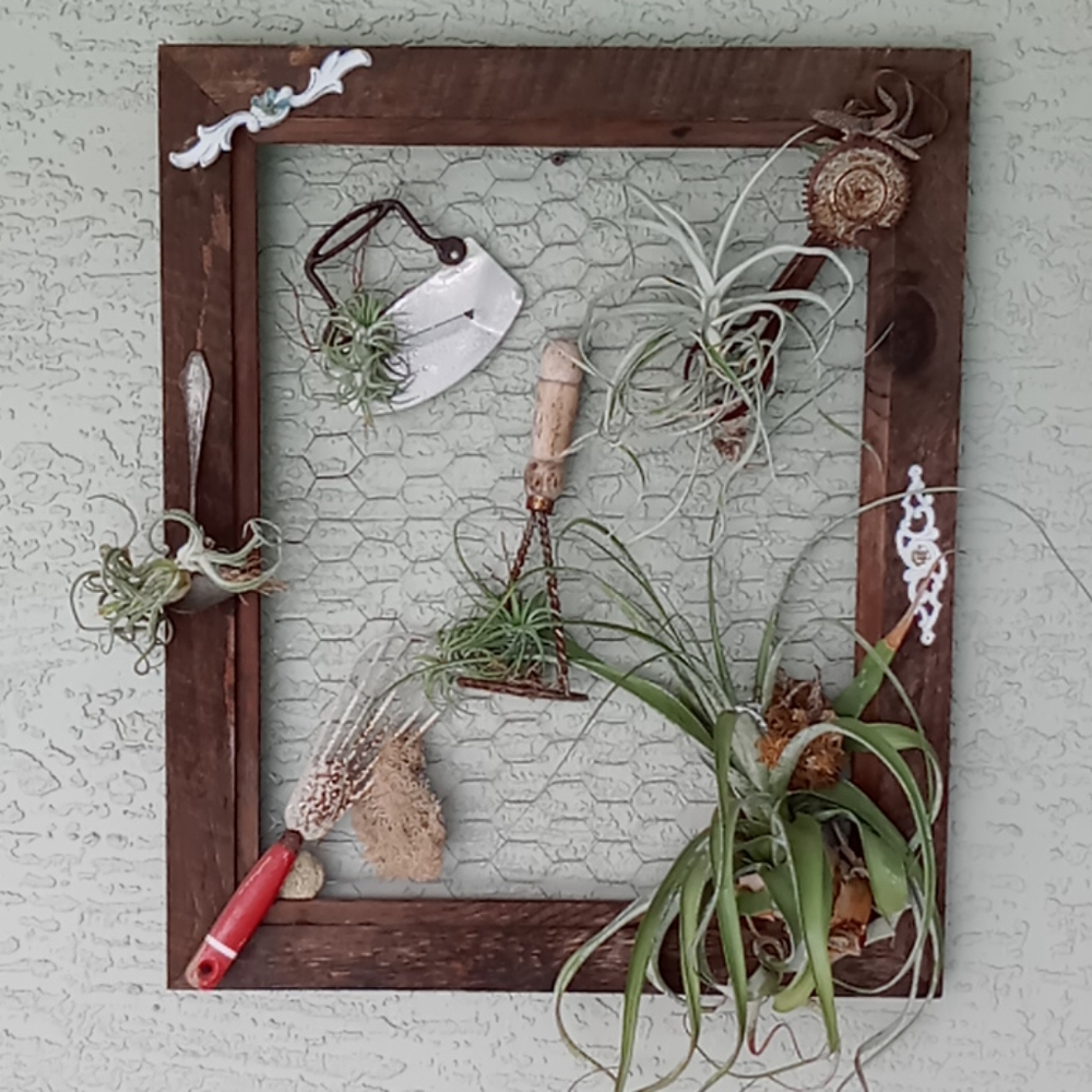 Meet your Posher, Liz - Picture 2 of 4